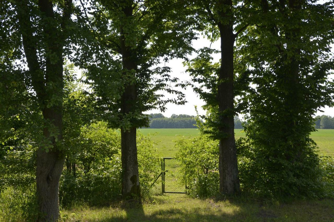 Mamrowisko Villa Węgorzewo Kültér fotó